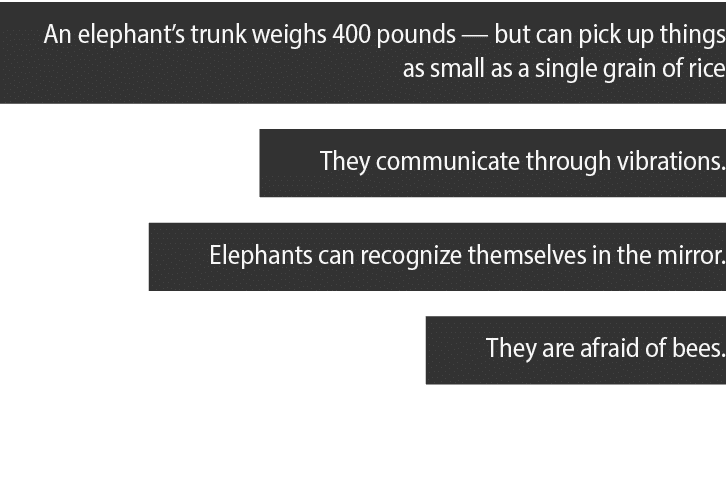 An elephant s trunk weighs 400 pounds — but can pick up things as small as a single grain of rice They communicate th   