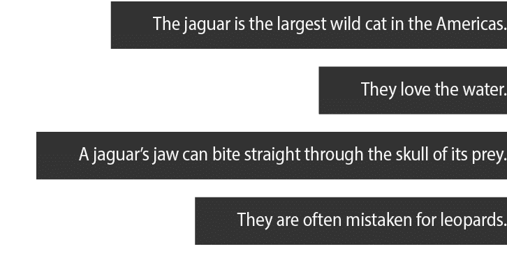 The jaguar is the largest wild cat in the Americas  They love the water  A jaguar s jaw can bite straight through the   