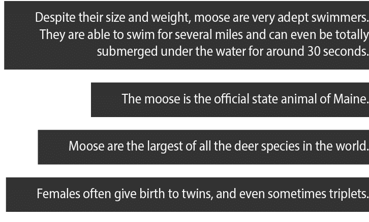Despite their size and weight, moose are very adept swimmers  They are able to swim for several miles and can even be   