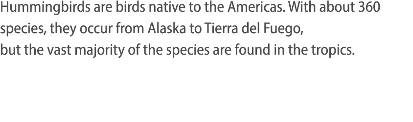 Hummingbirds are birds native to the Americas  With about 360 species, they occur from Alaska to Tierra del Fuego, bu   