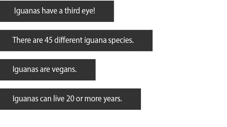  Iguanas have a third eye  There are 45 different iguana species  Iguanas are vegans  Iguanas can live 20 or more years 