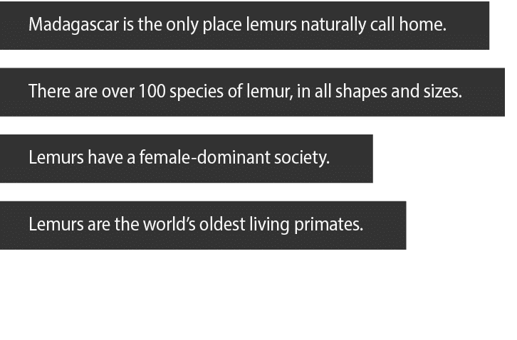 Madagascar is the only place lemurs naturally call home  There are over 100 species of lemur, in all shapes and sizes   