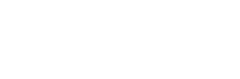 Owls are birds from the order Strigiformes, which includes over 200 species of mostly solitary and nocturnal birds of   