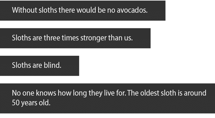 Without sloths there would be no avocados  Sloths are three times stronger than us  Sloths are blind  No one knows ho   