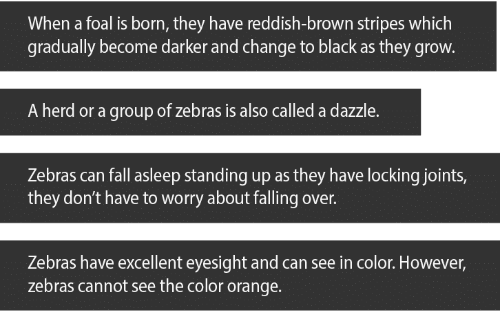When a foal is born, they have reddish-brown stripes which gradually become darker and change to black as they grow     