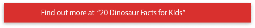 Find out more at  20 Dinosaur Facts for Kids  