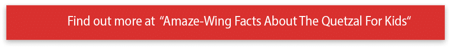 Find out more at  Amaze-Wing Facts About The Quetzal For Kids 