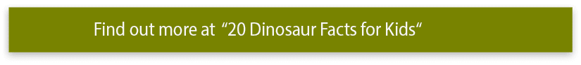 Find out more at  20 Dinosaur Facts for Kids  