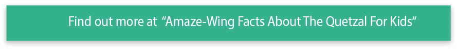 Find out more at  Amaze-Wing Facts About The Quetzal For Kids 