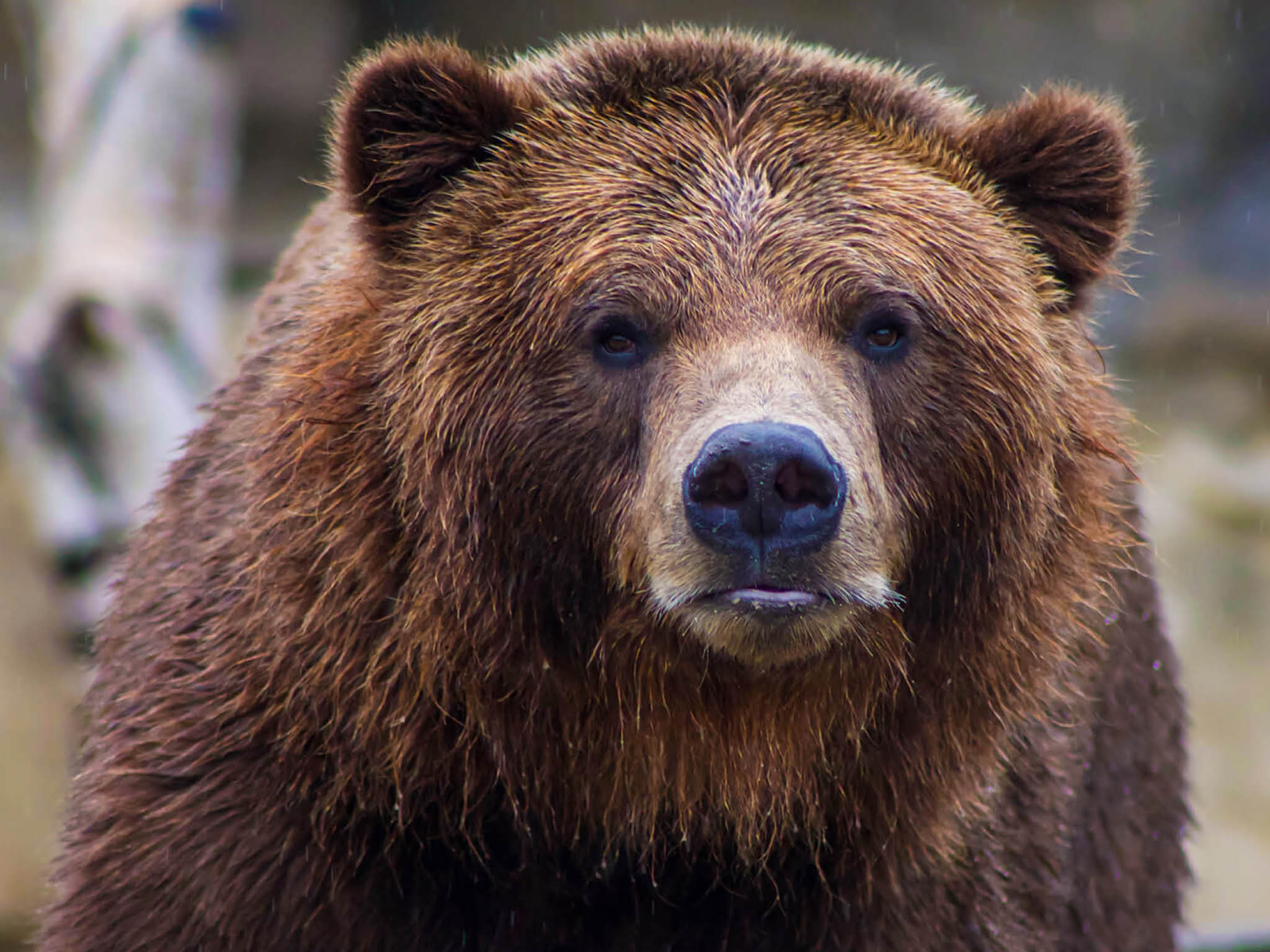 Photo courtesy of Becca on Unsplash  