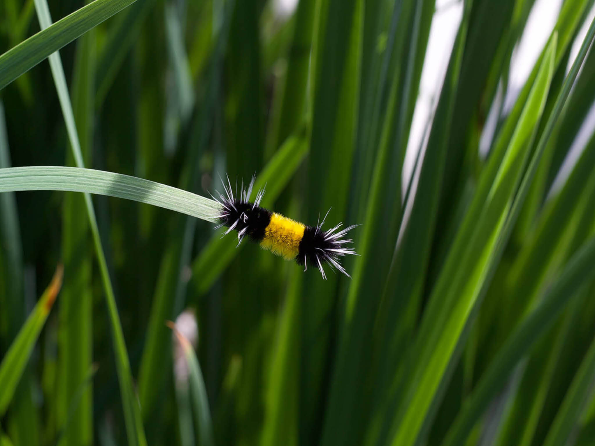 Photo courtesy of Darby P  on Unsplash