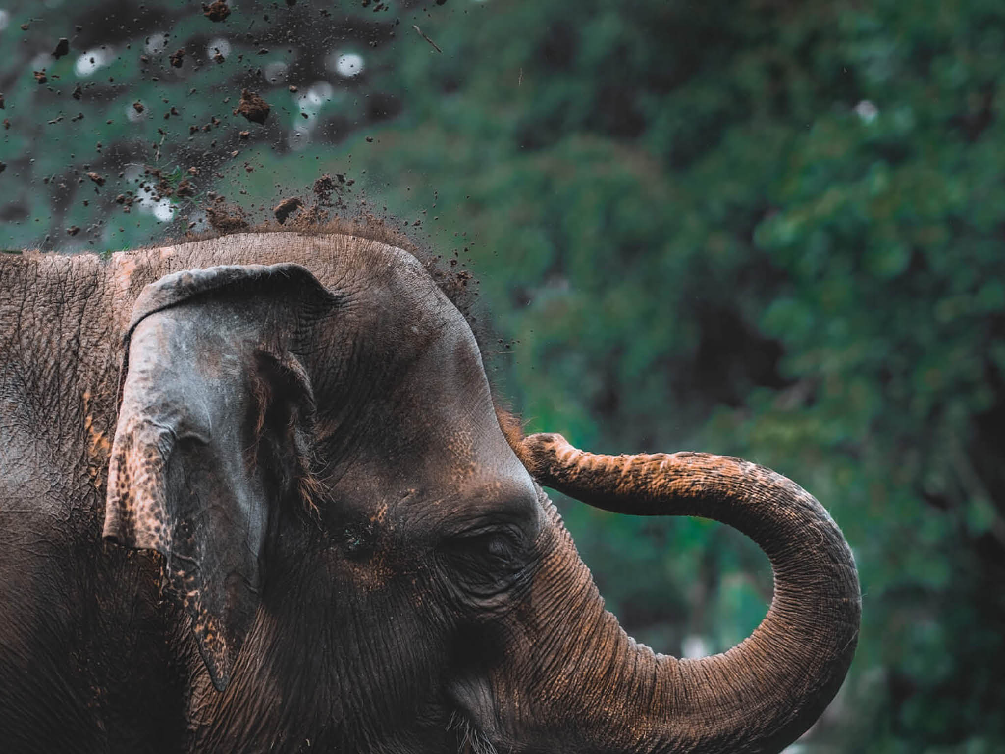 Photo courtesy of Iswanto Arif on Unsplash  