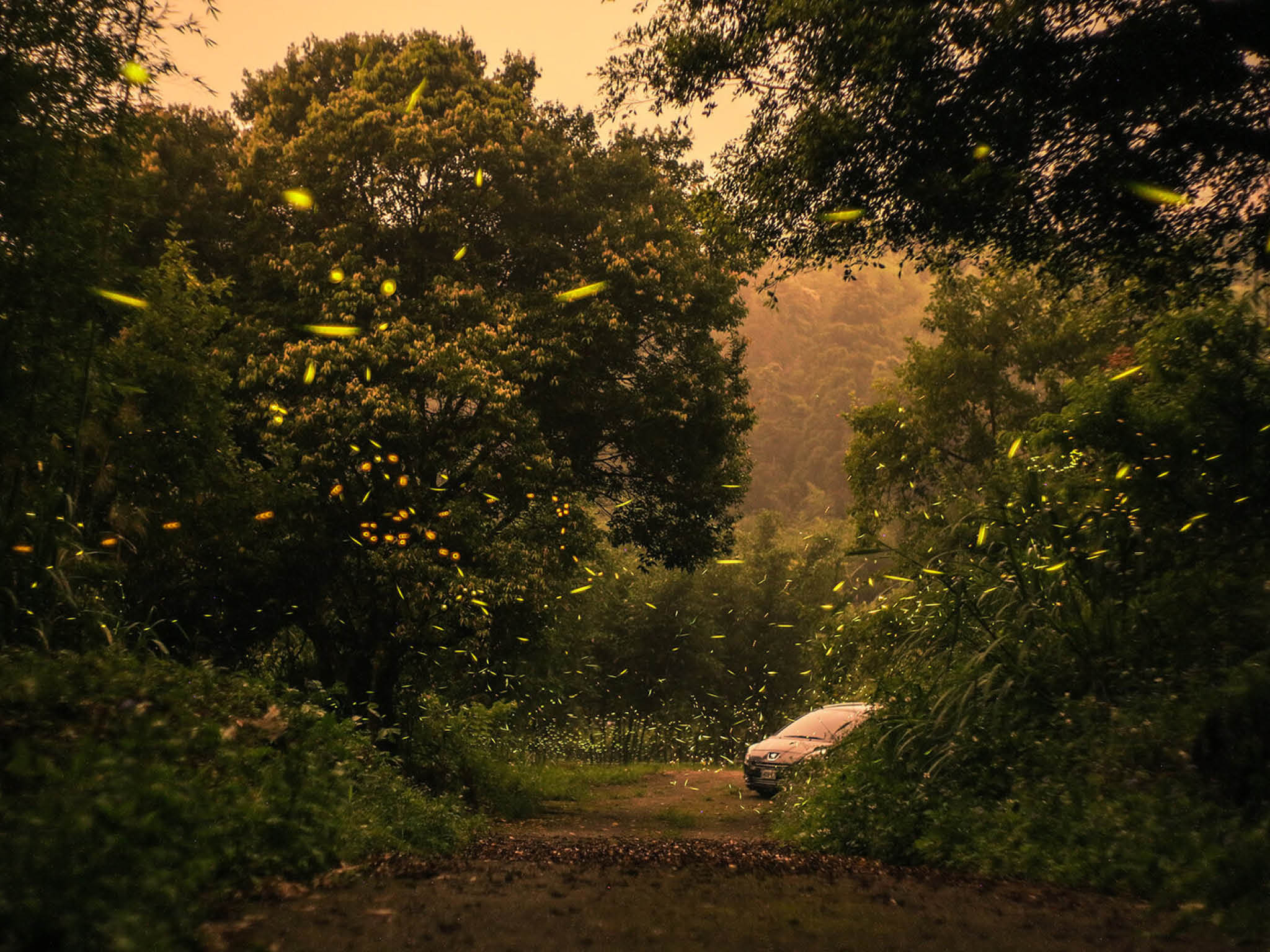 Photo courtesy of Kevin Wong on Unsplash