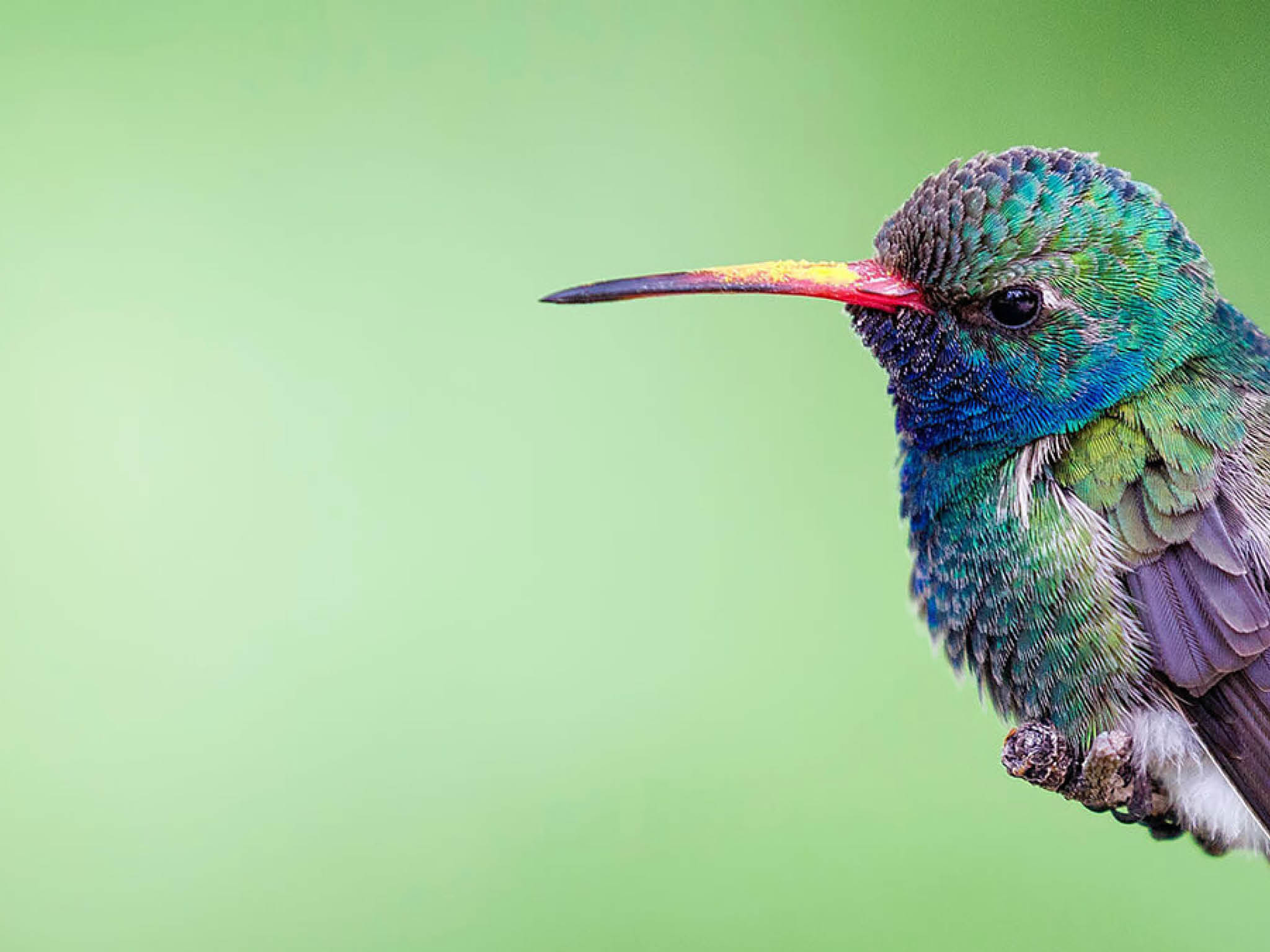 Photo courtesy of Philip Brown on Unsplash