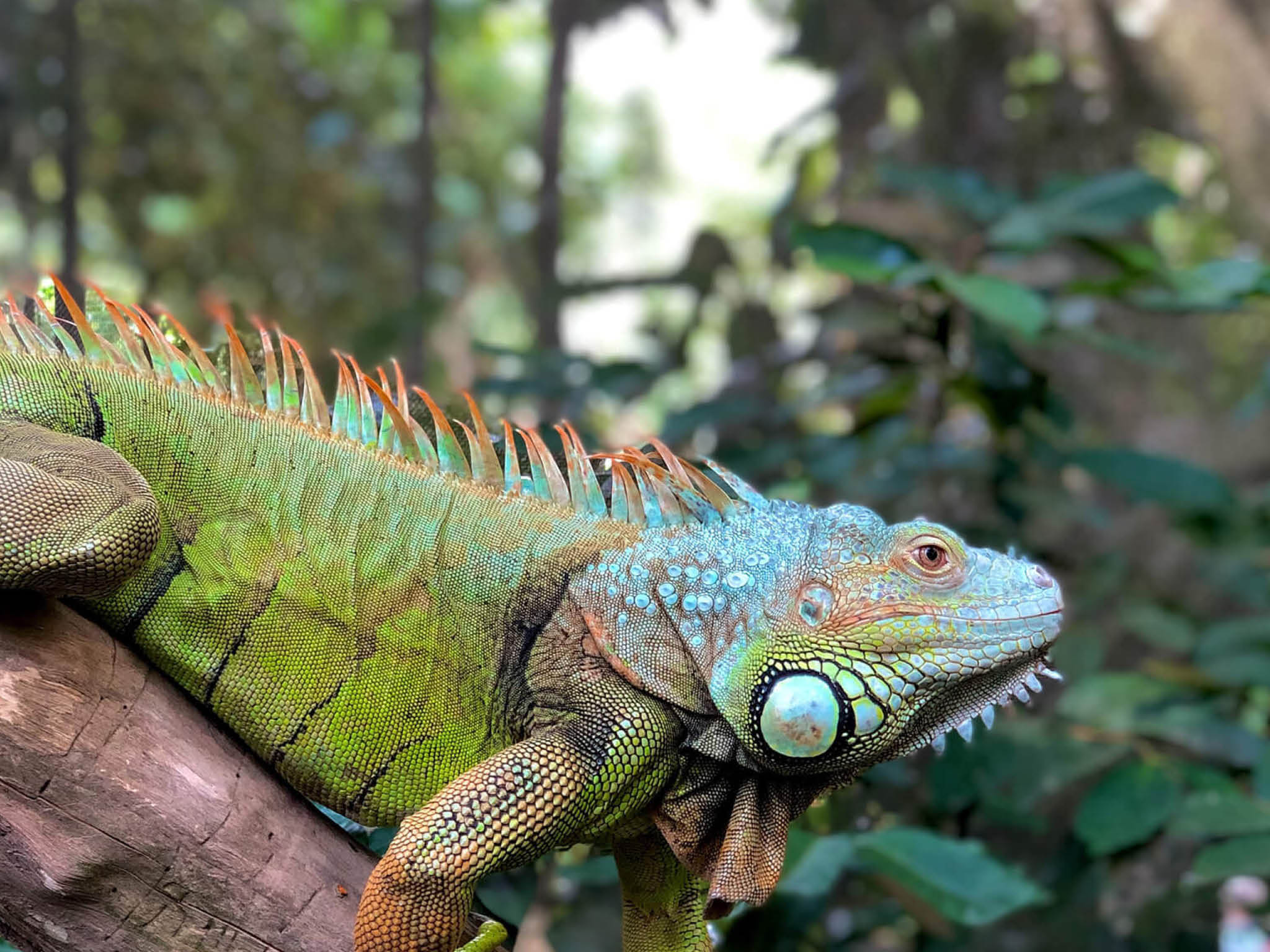 Photo courtesy of Alex Williams on Unsplash