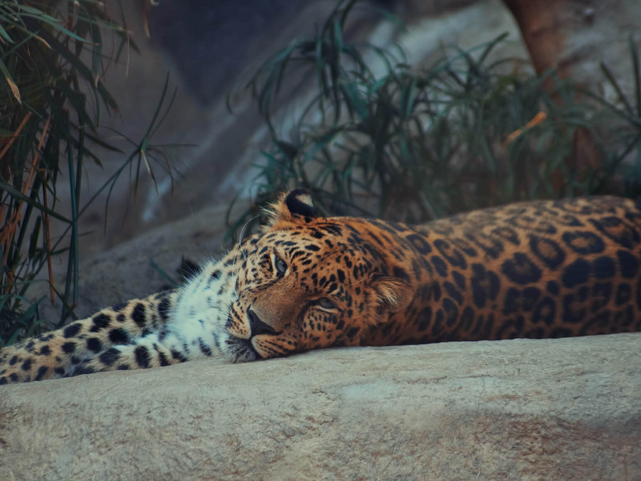 Photo courtesy of James Lee on Unsplash  