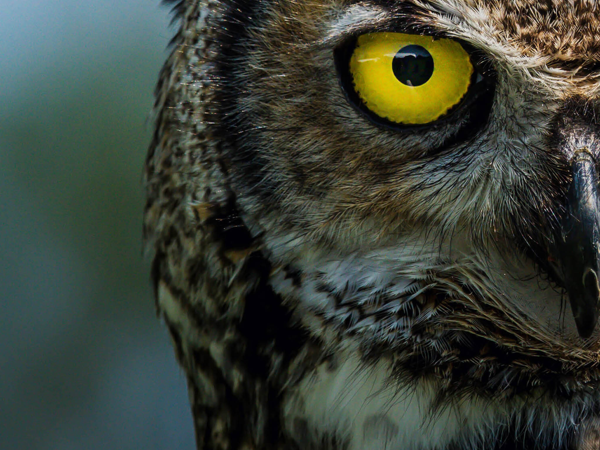 Photo courtesy of Jeremy Hynes on Unsplash