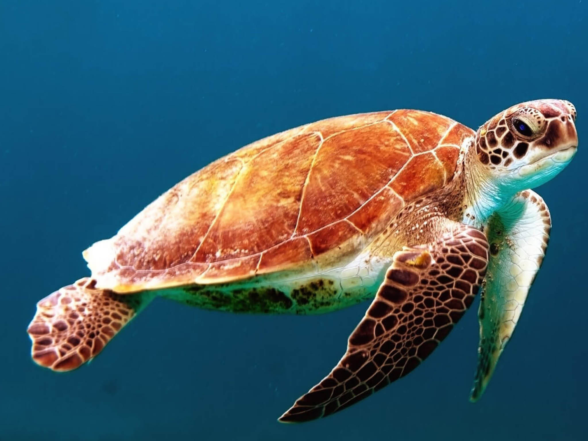 Photo courtesy of Wexor Tmg on Unsplash