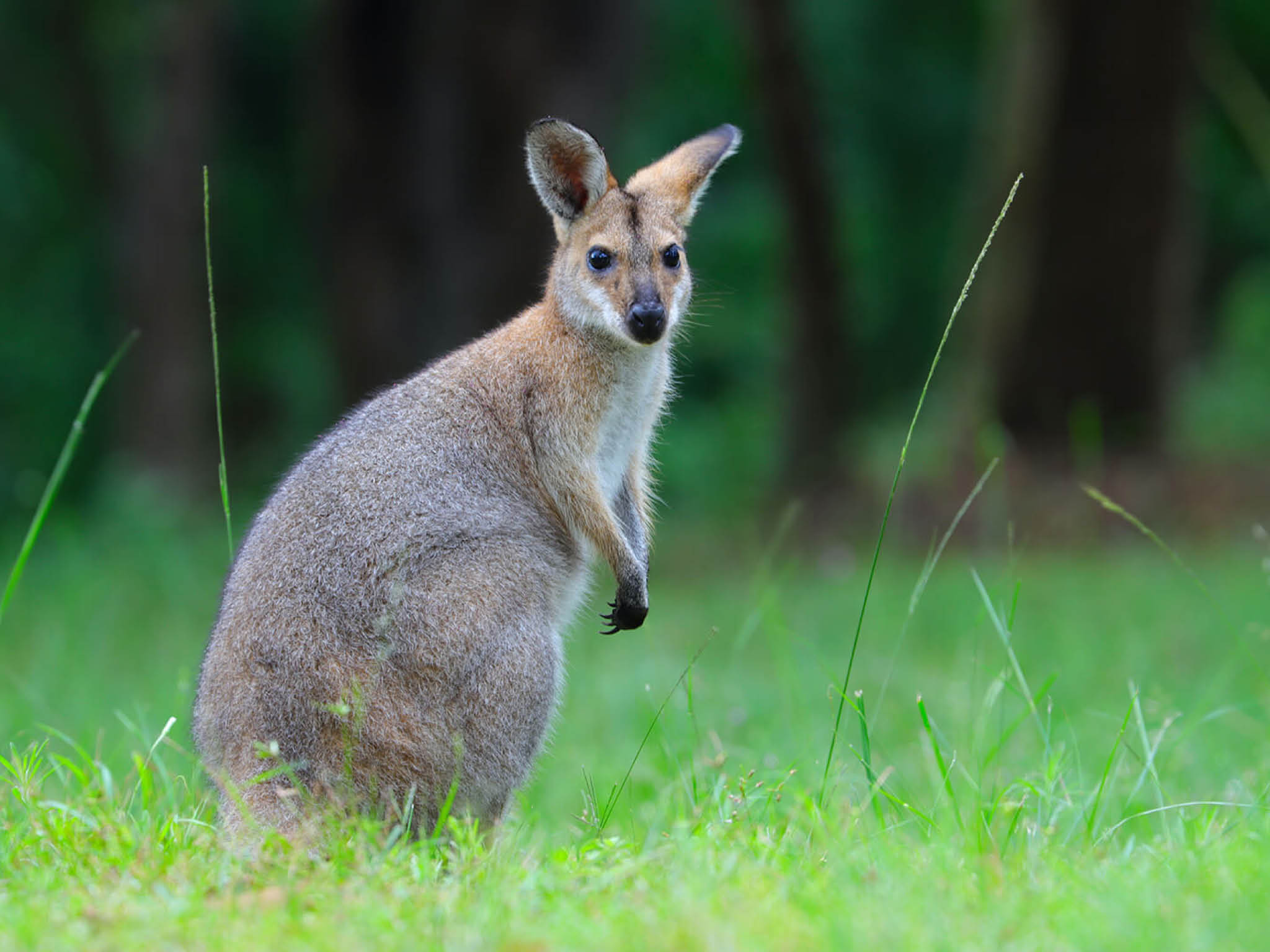 Photo courtesy of Anthony Rae on Unsplash  