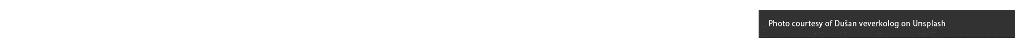 Photo courtesy of Dušan veverkolog on Unsplash
